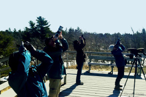 Image shows multiple people standing on a wide wooden deck on a bright sunny day, all are looking up through cameras and binoculars at passing birds. Photo © Skye Haas.