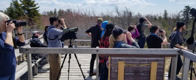 A group of people standing on the hawk deck with binoculars and scopes, watching hawks.
