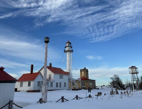 Spring Raptor Count (3/15-3/16)–“I’d Rather Be a Lunatic…”